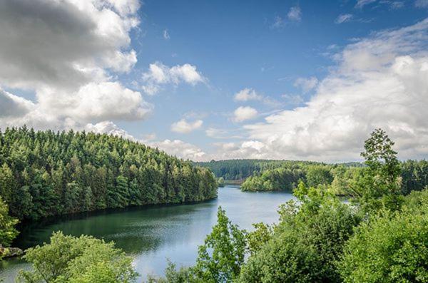 Le Gagnage 31 Pers- Malmedy, Rustique, Vue, Wellness别墅 外观 照片